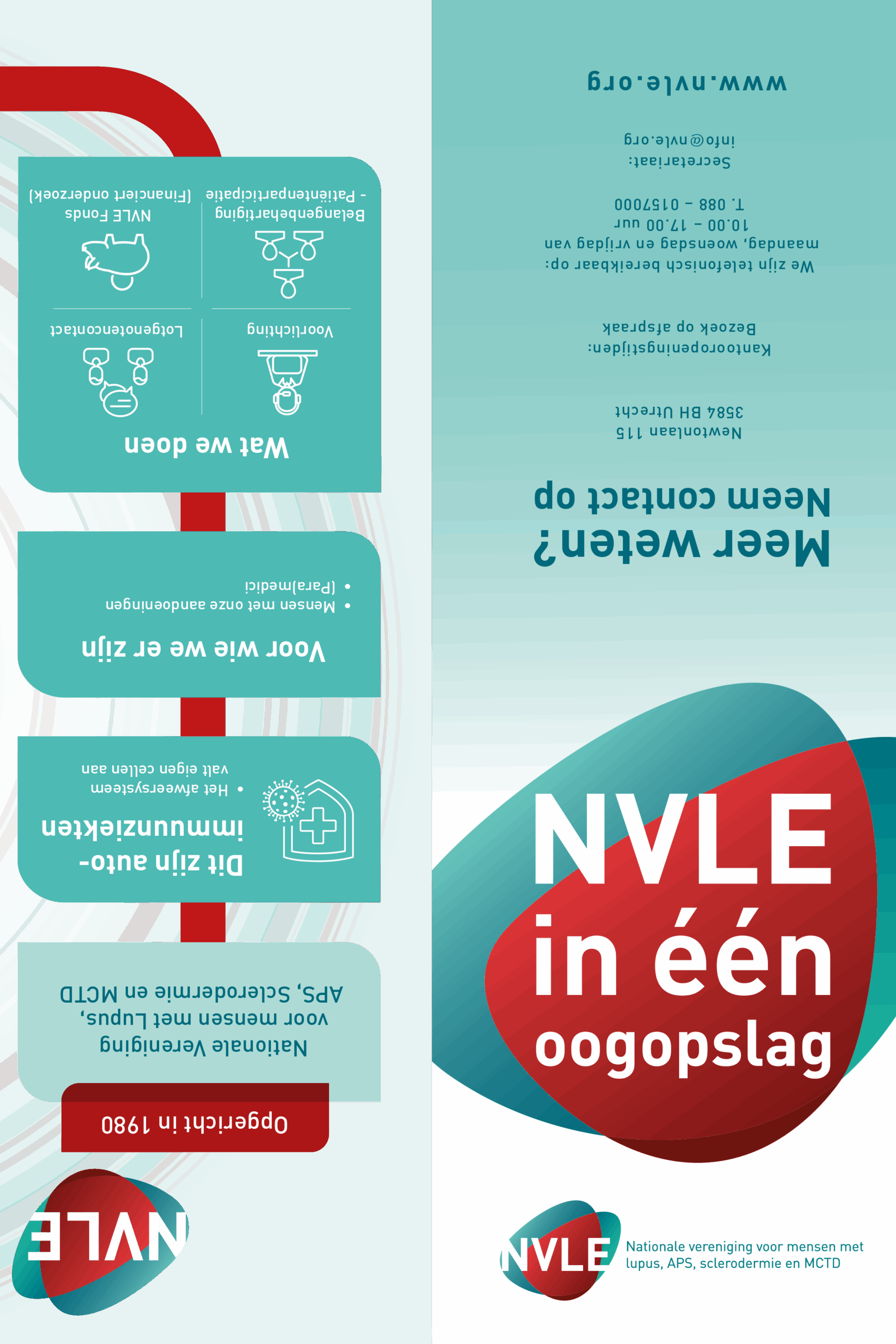 Infographic NVLE